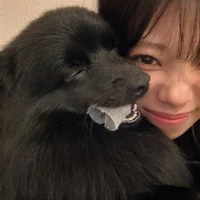 画像349