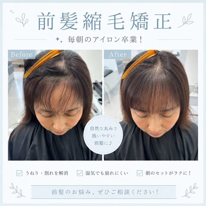 画像442