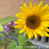 画像471