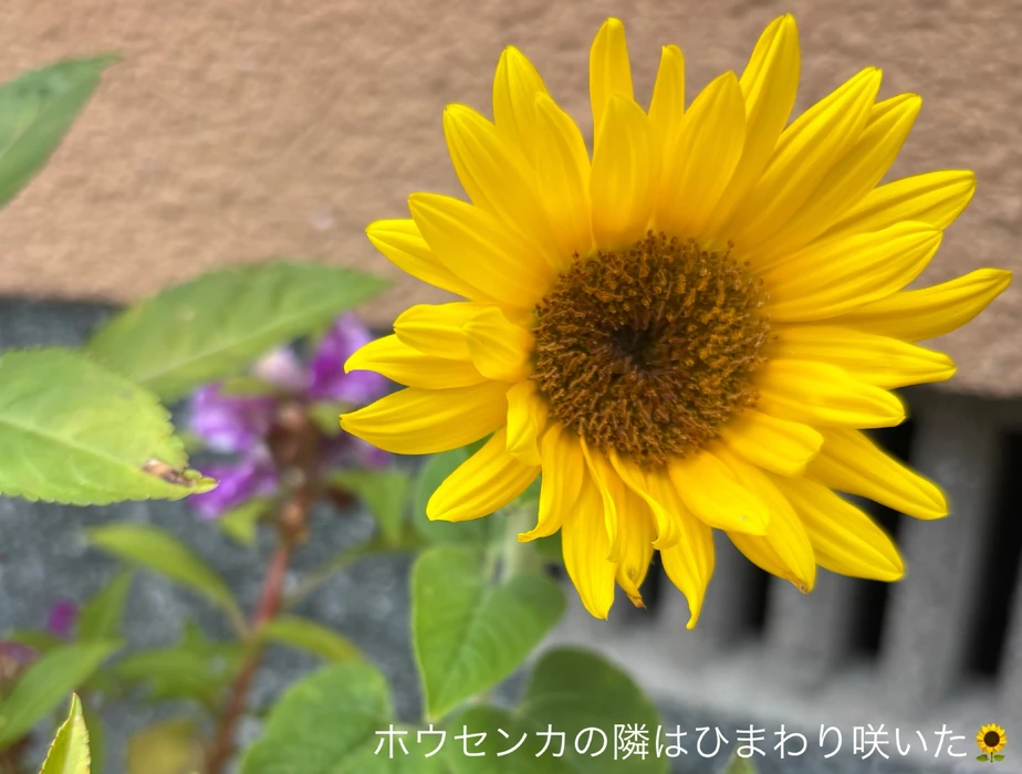 画像471