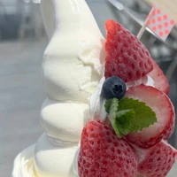 画像477